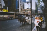 [Horse and carriage]